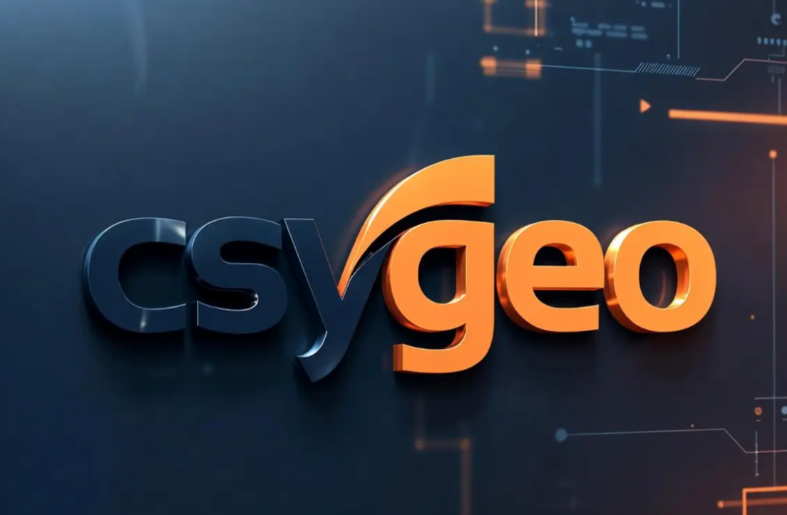 谷歌蜘蛛池搭建指南:快速提升网站收录与排名